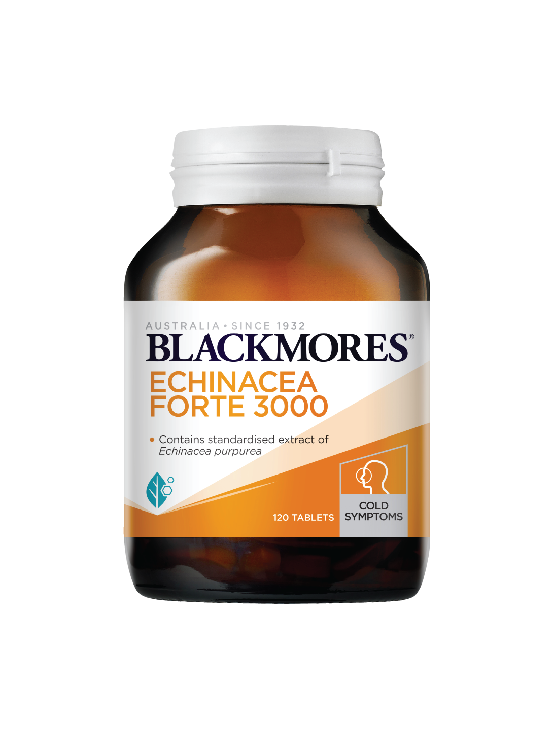 BL Echinacea Fort 40s