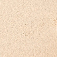Thin Lizzy Loose Mineral Foundation shade swatches