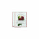 SCULLYS Rose Perf Twn Dr Sach 12x2pk