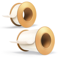 LEUKOPOR Hypo. 2.5cmx5m roll